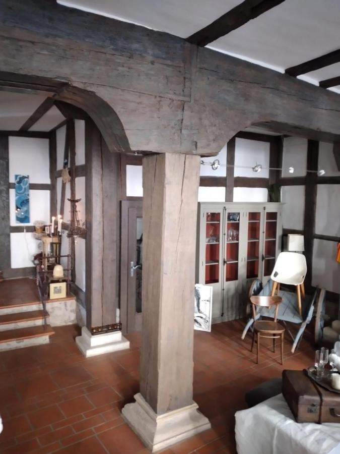Historische Raume Uber Mittelaltergewolbe Mit Terrasse Apartment Ерфурт Екстериор снимка
