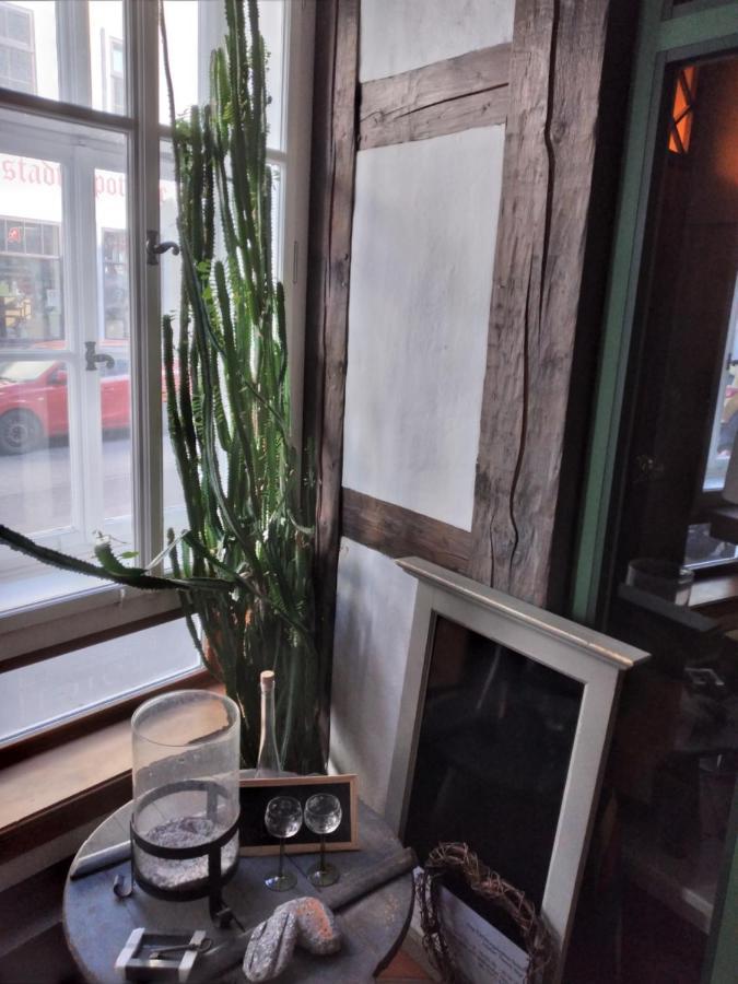 Historische Raume Uber Mittelaltergewolbe Mit Terrasse Apartment Ерфурт Екстериор снимка