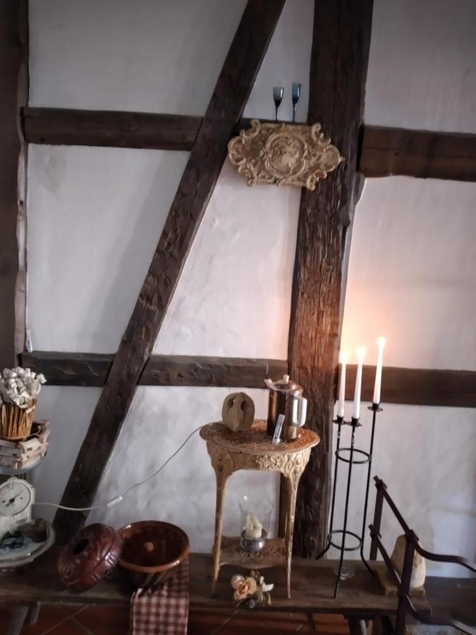 Historische Raume Uber Mittelaltergewolbe Mit Terrasse Apartment Ерфурт Екстериор снимка